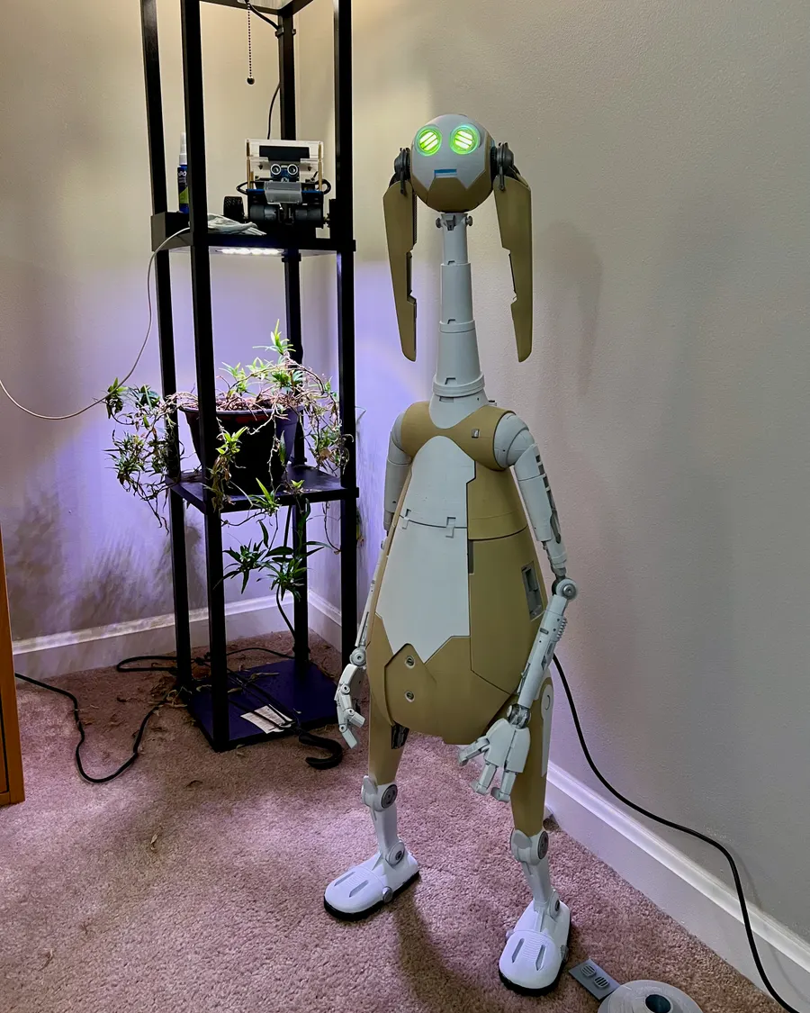 The Droid Family photo 7