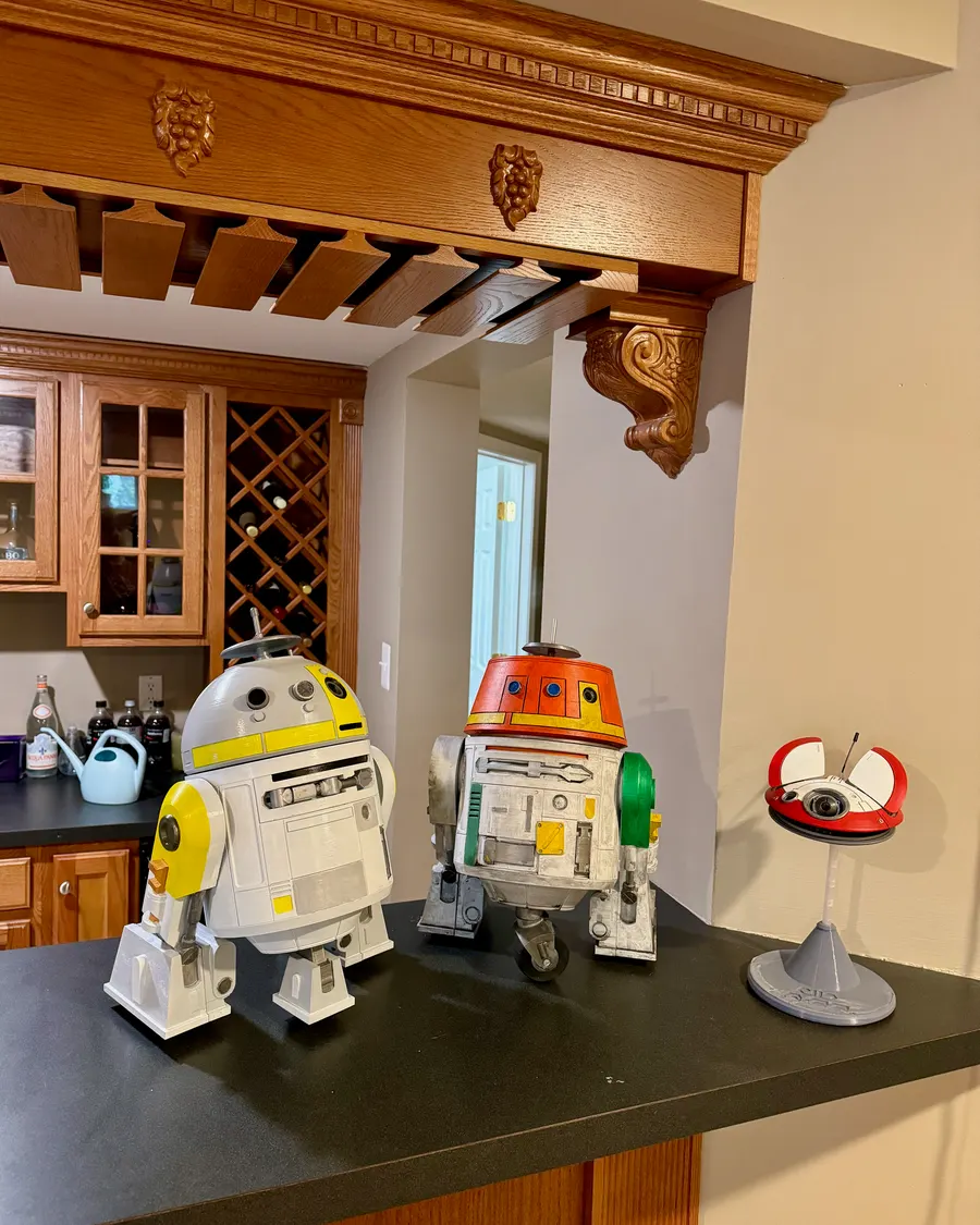 The Droid Family photo 11