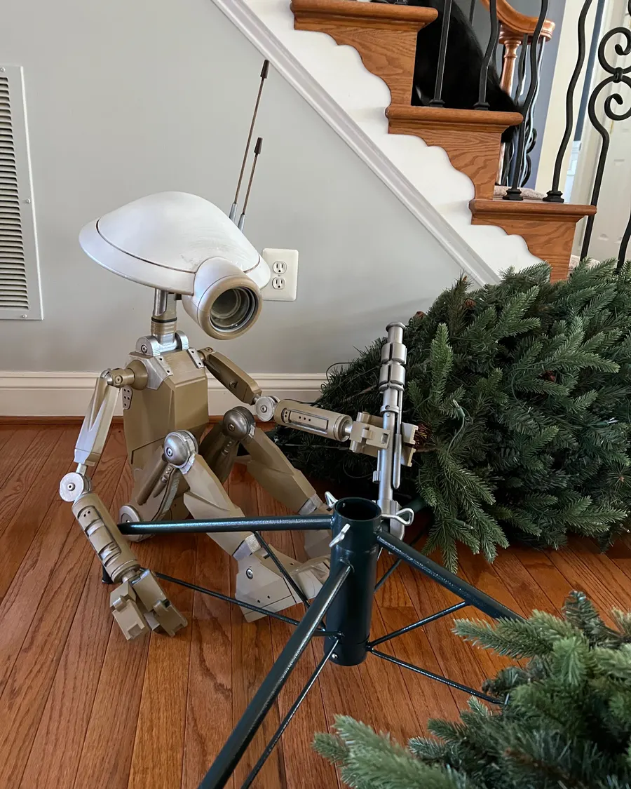 Xmas 2025 photo 6
