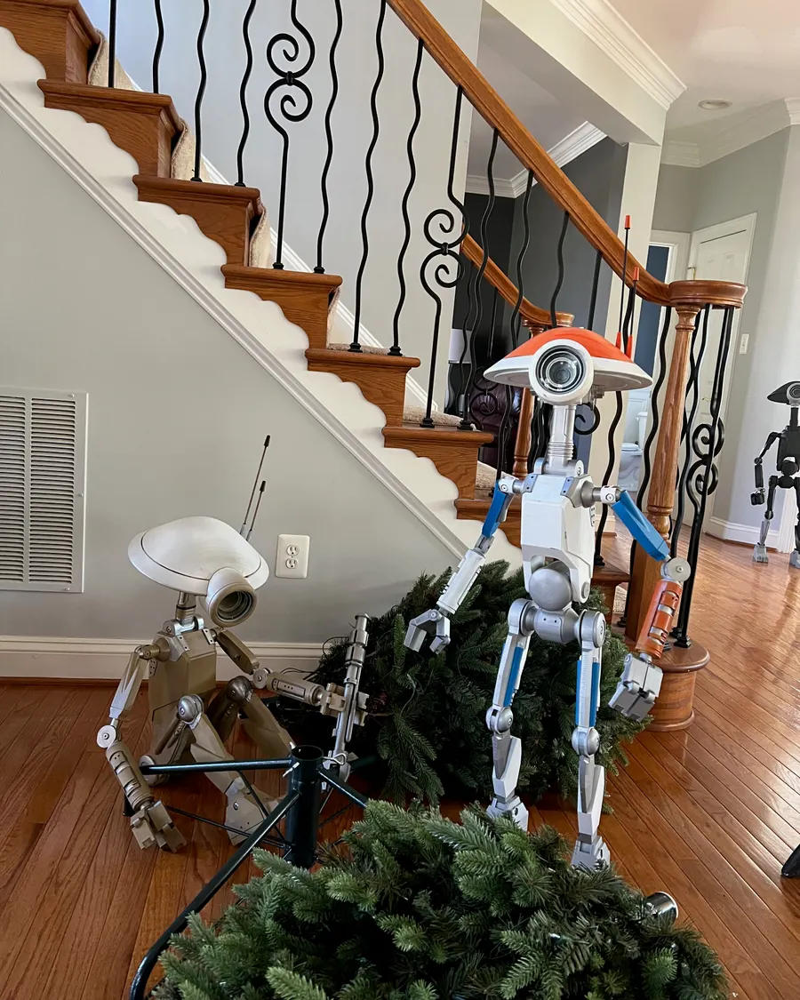 Xmas 2025 photo 7