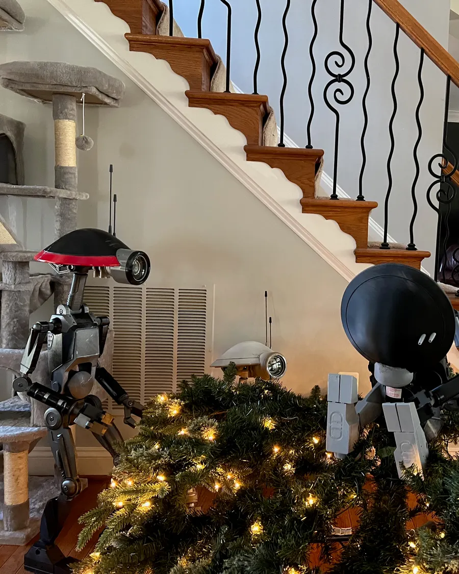 Xmas 2025 photo 9