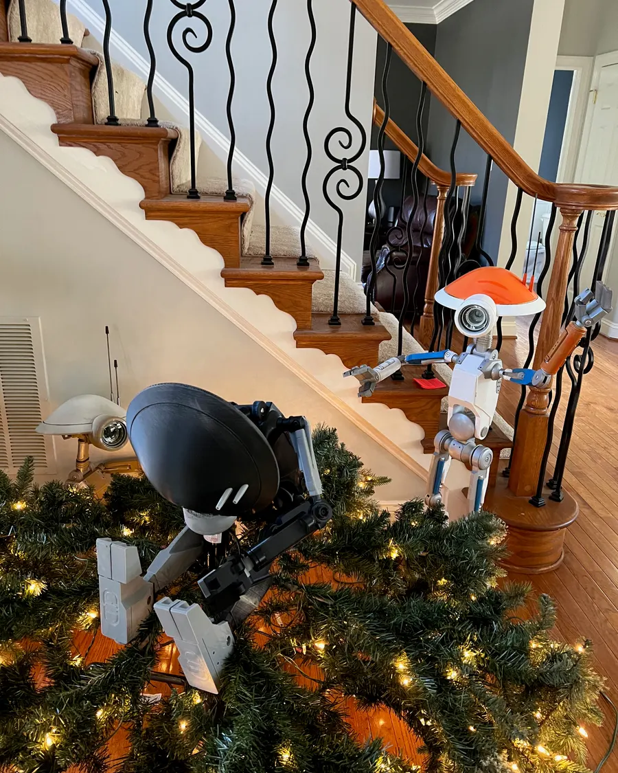 Xmas 2025 photo 10