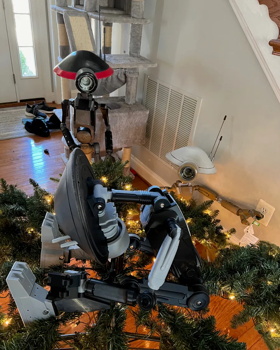 Xmas 2025 photo 11