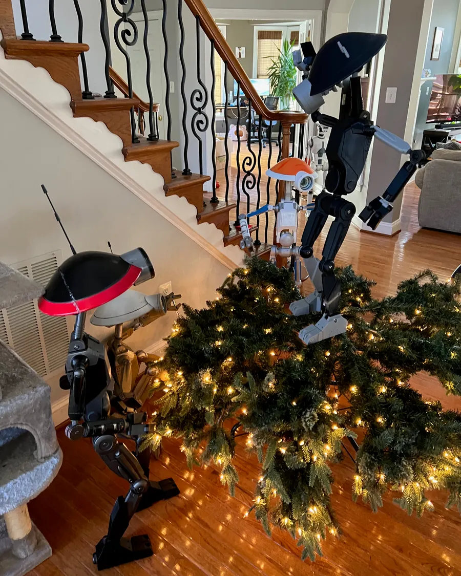 Xmas 2025 photo 12