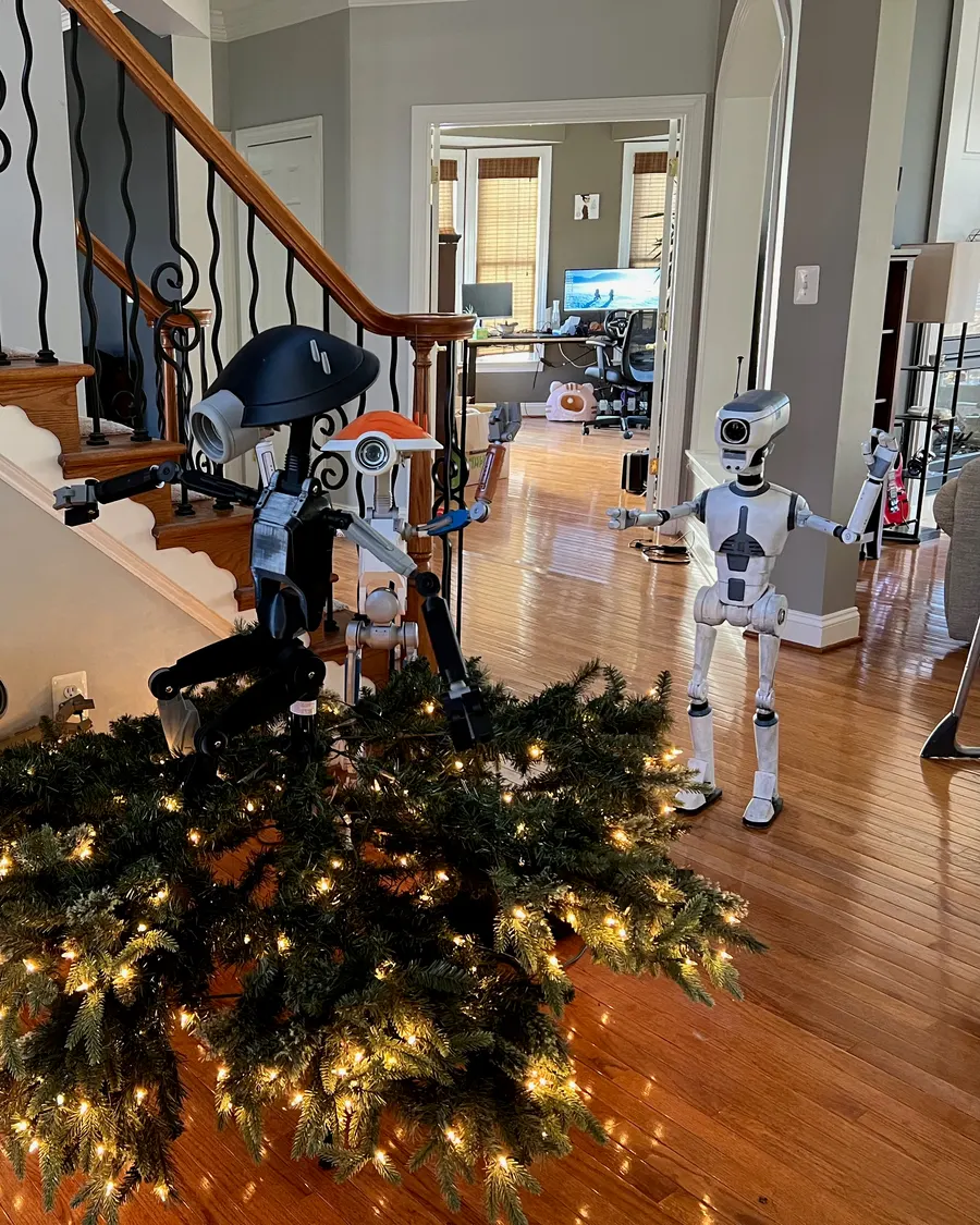 Xmas 2025 photo 14