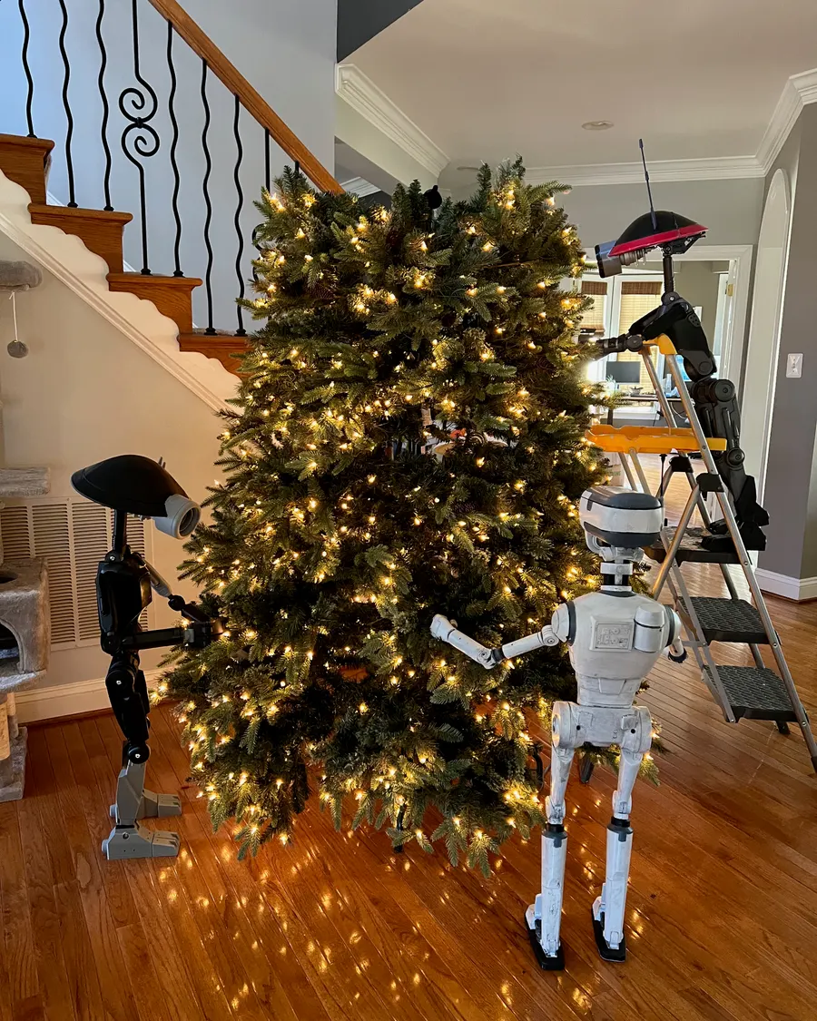 Xmas 2025 photo 17
