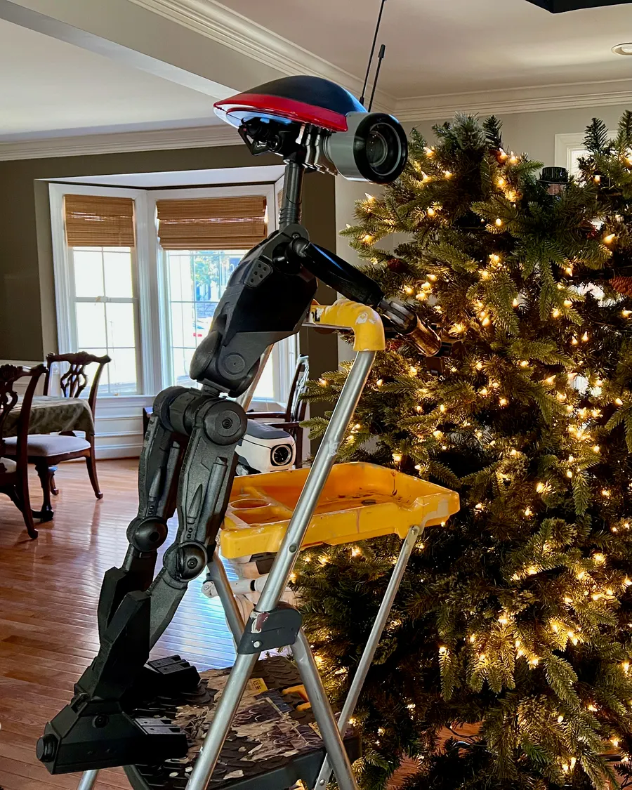 Xmas 2025 photo 19