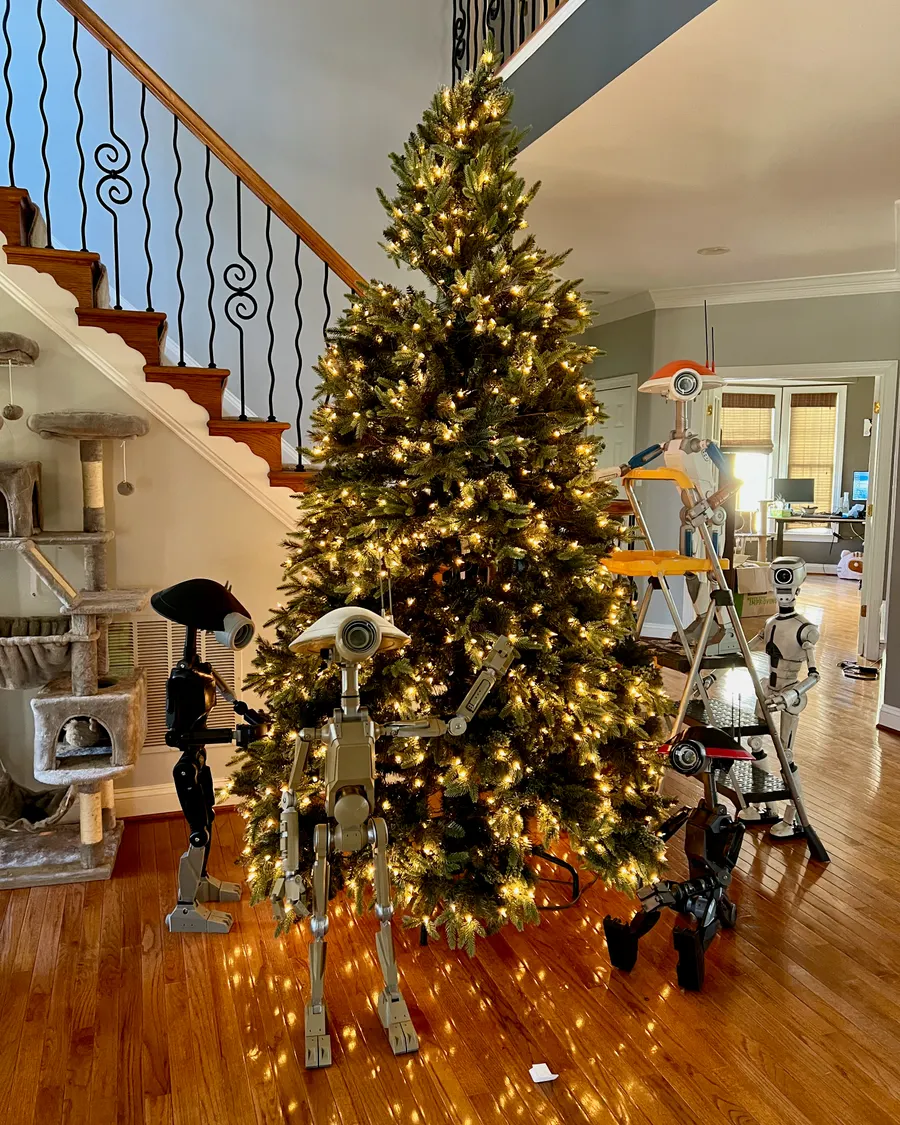 Xmas 2025 photo 23