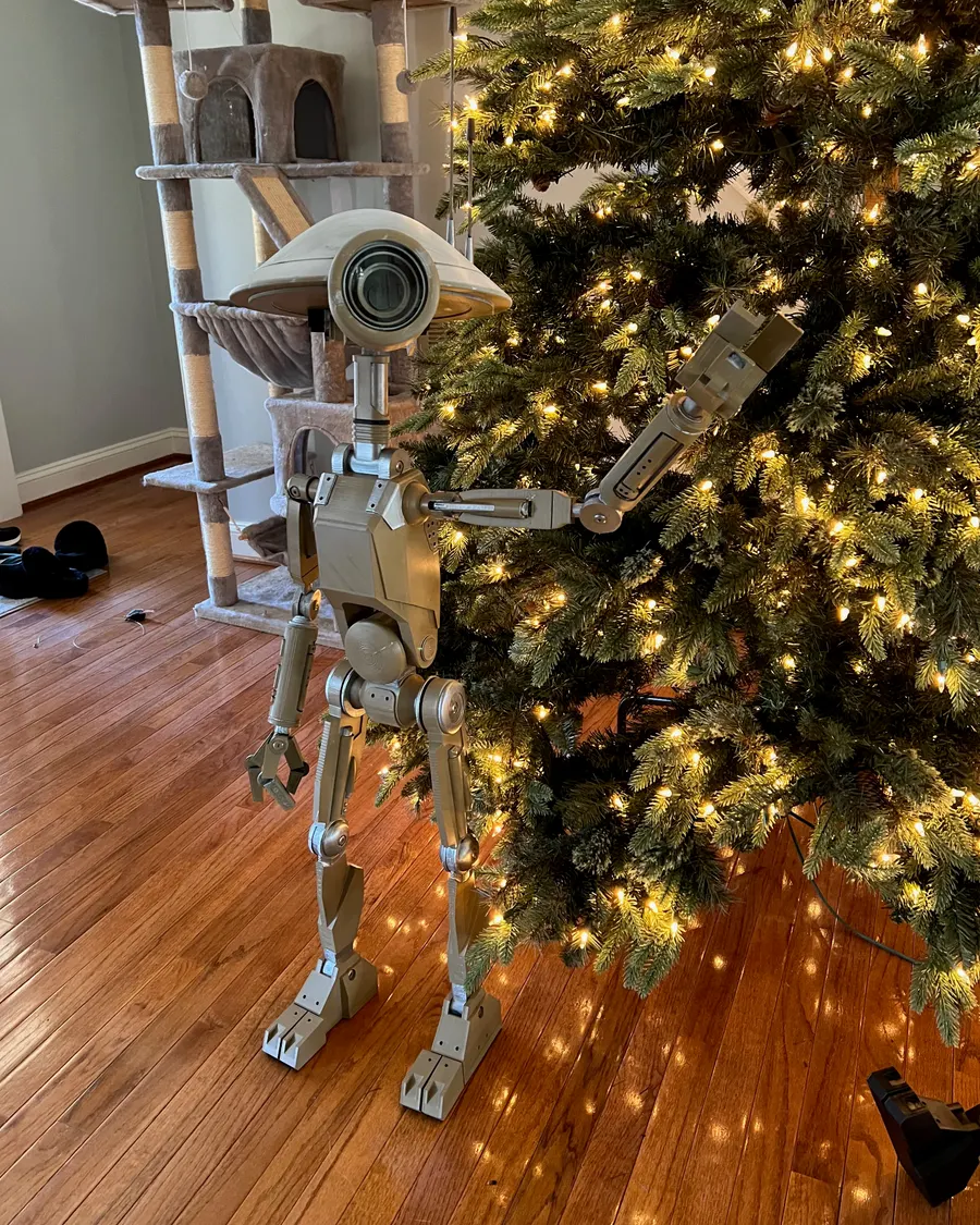 Xmas 2025 photo 26