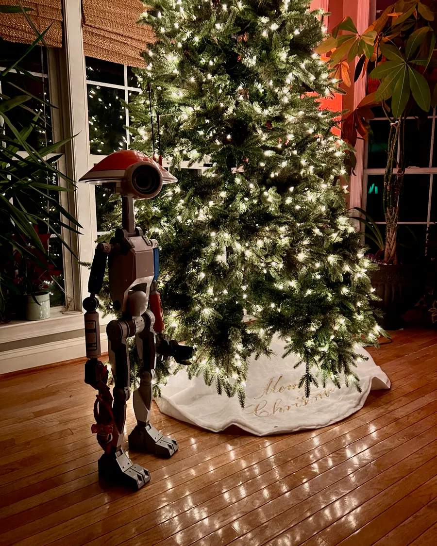 Xmas 2025 photo 38