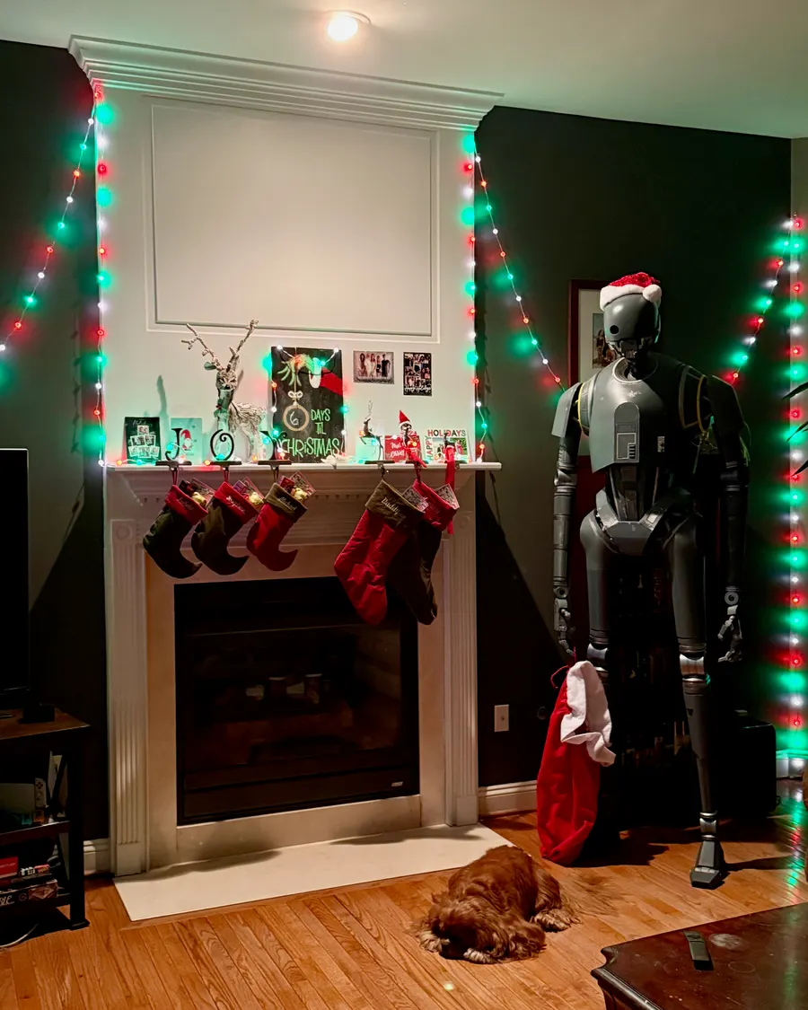 Xmas 2025 photo 39